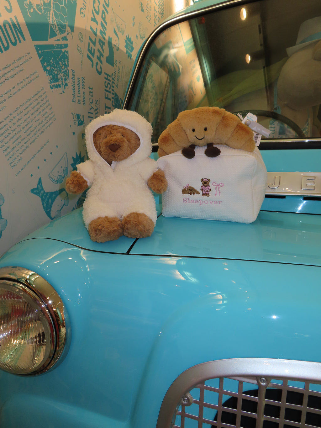Jelly cat pouch🧸🎀🥐