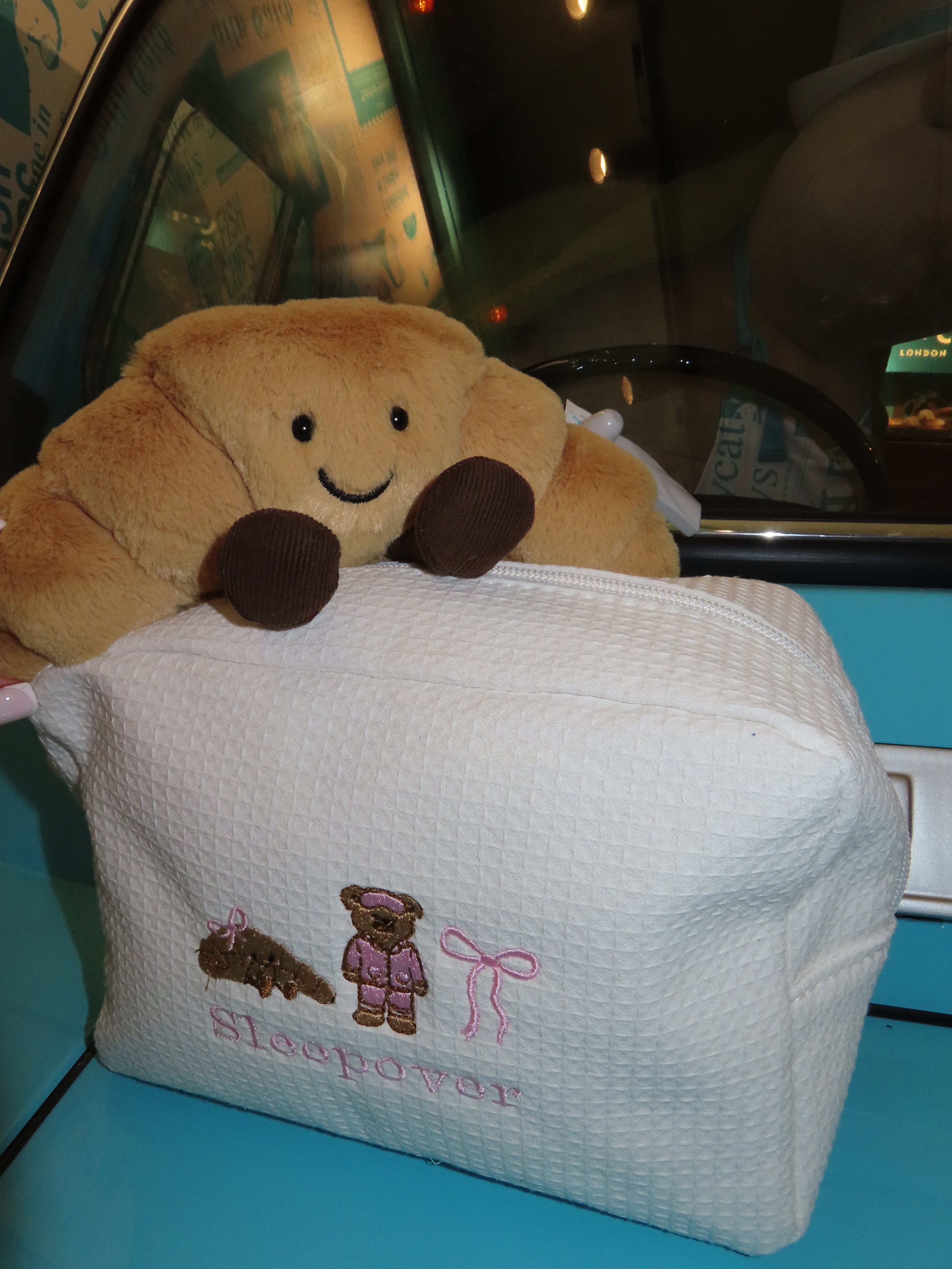 Jelly cat pouch🧸🎀🥐